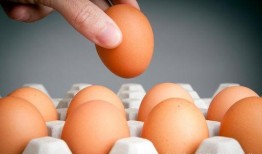 蛋仔新纤维皮肤最新爆料,炫酷外观引玩家热议